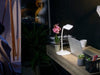 A checklist of healthy nighttime habits by Oximind featuring digital detox, room temperature optimization, and relaxation techniques for better sleep.